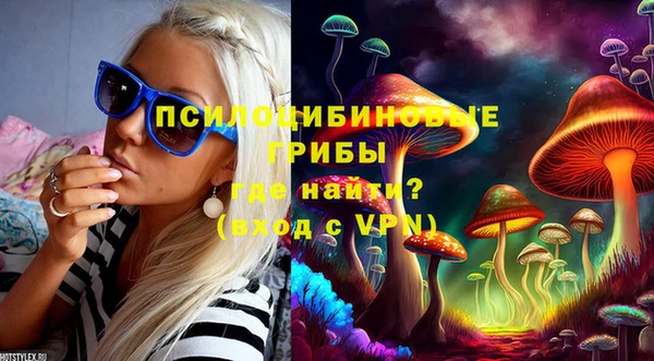молекула духа Елизово