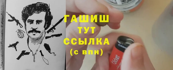 молекула духа Елизово
