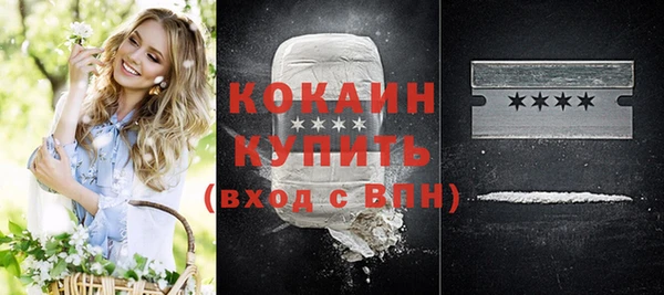 молекула духа Елизово