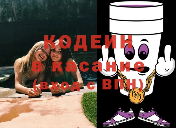 молекула духа Елизово