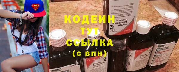 молекула духа Елизово