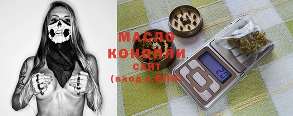 молекула духа Елизово