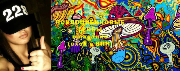 герыч Ельня