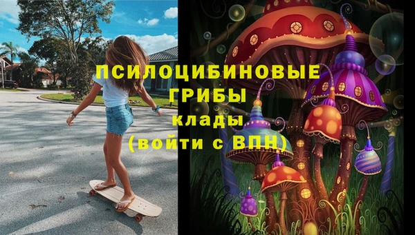 молекула духа Елизово